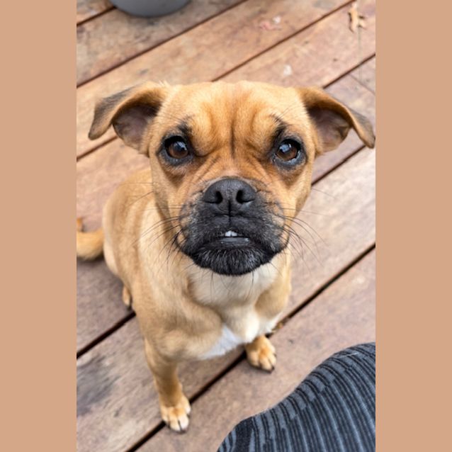 Photo of Lola