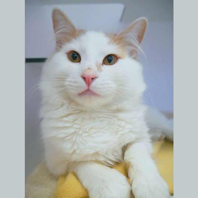 Photo of Nick Suk010215