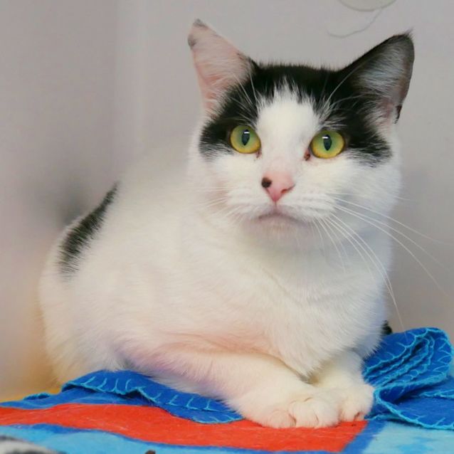 Photo of Sheila Sua010225