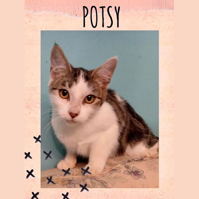 Photo of Potsy
