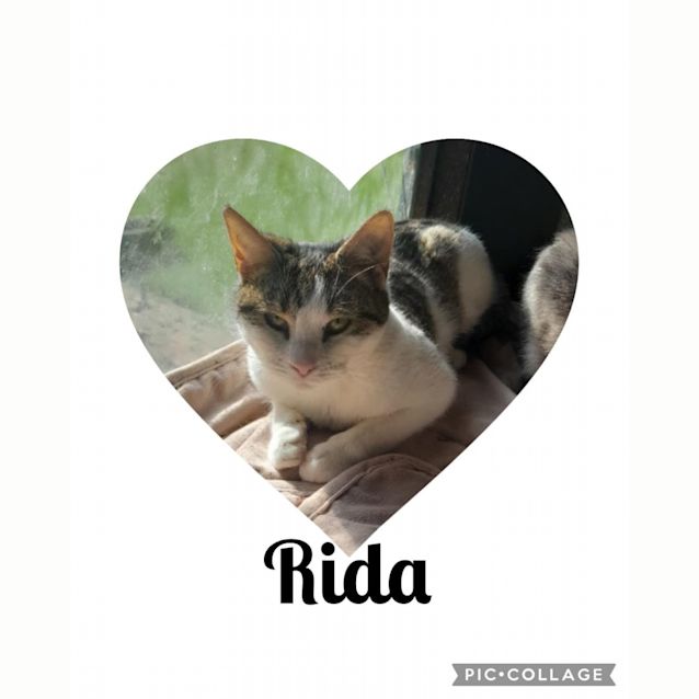 Photo of Rida
