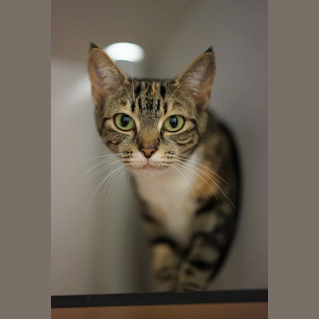 Photo of Sugar