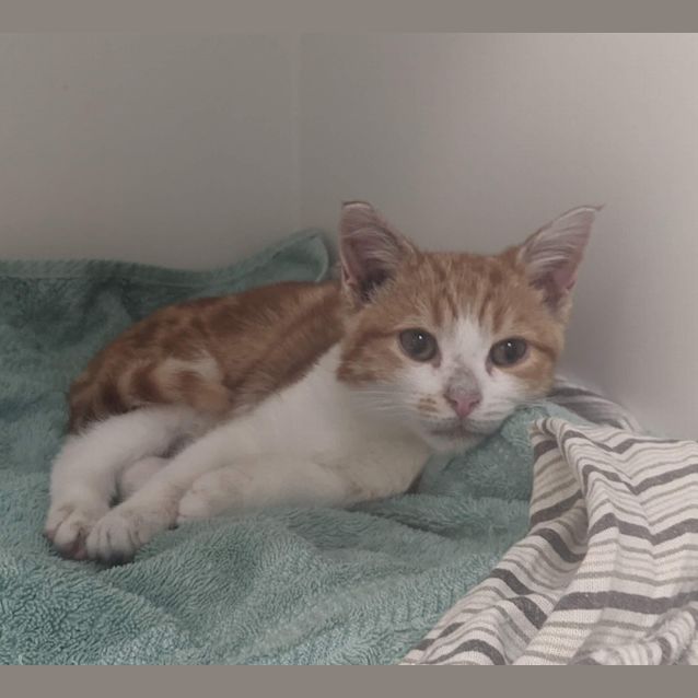 Photo of Finnick