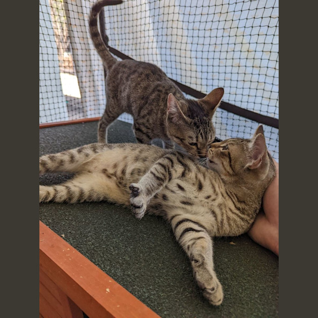 Photo of Tyler & Wyatt