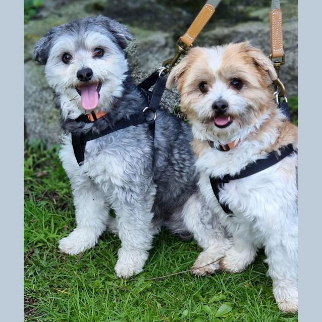 Photo of Cooper  &  Charles 