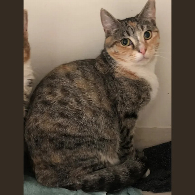 Photo of Kate & Helena