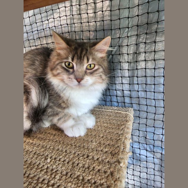 Photo of Becky And Tyson 