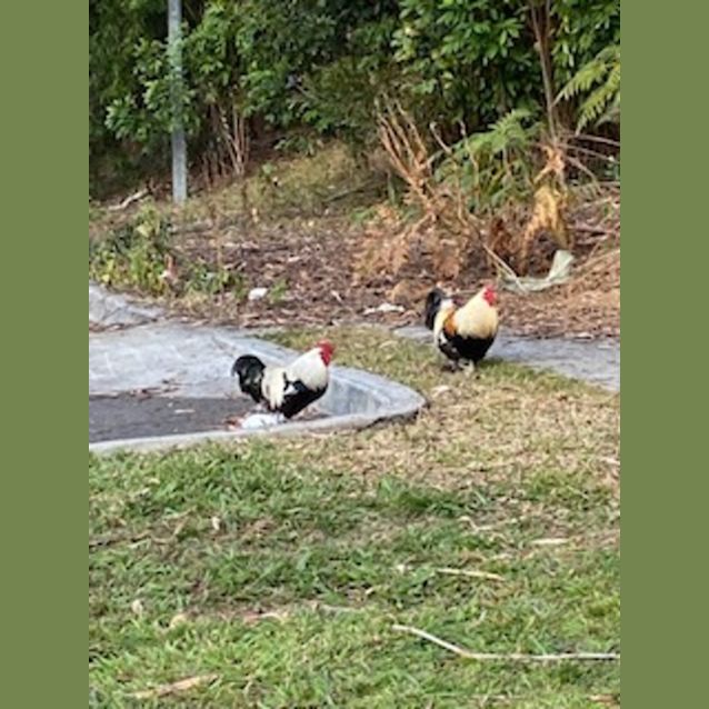 Photo of Ben And Joe