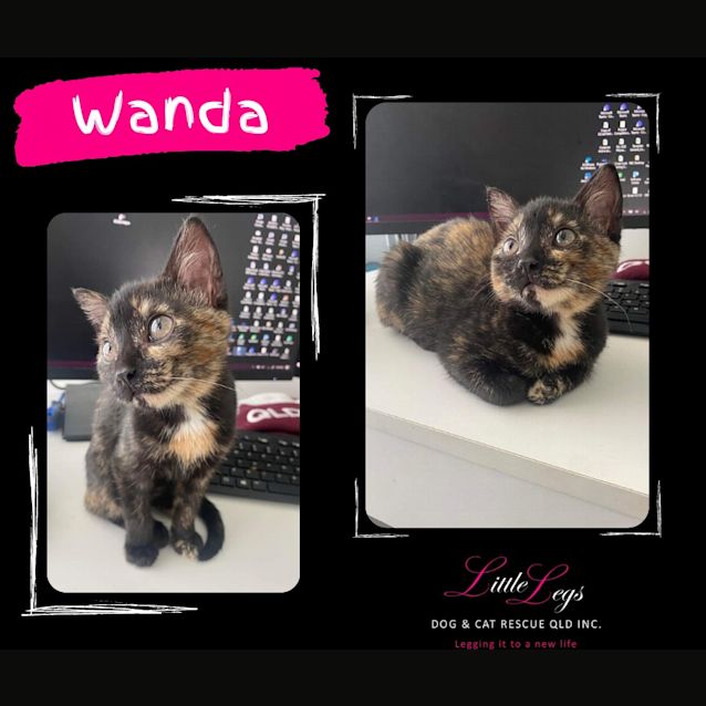 Photo of Wanda