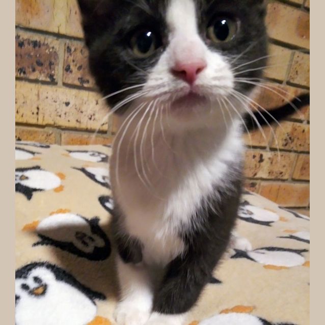 Photo of C1082 Jimmy