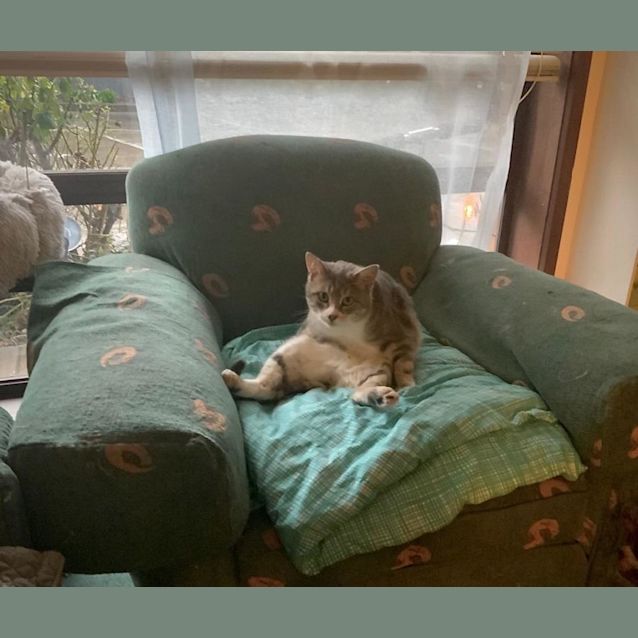 Photo of Storm