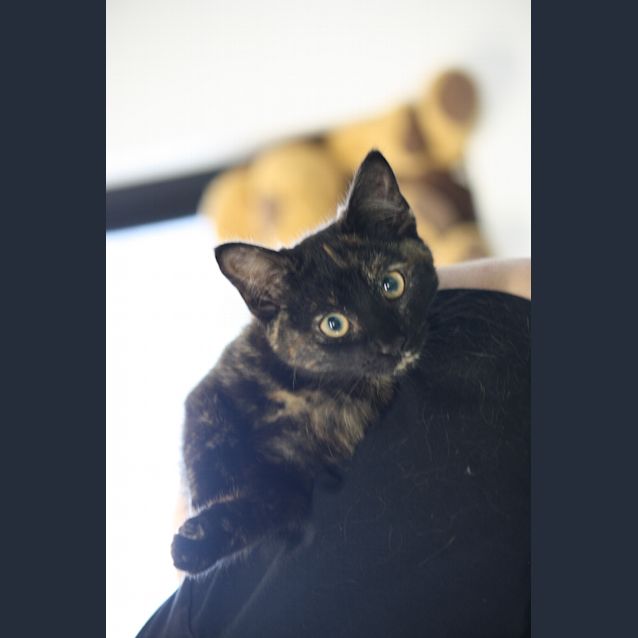 Photo of Rebecca