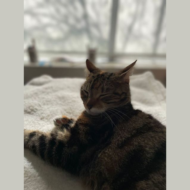 Photo of Luna