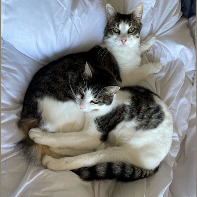 Photo of Lottie And Tilly 🌸🌻