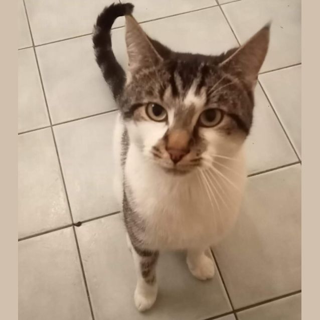 Photo of Andy