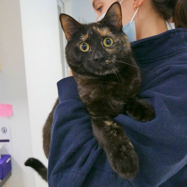 Photo of Baby Sua009850