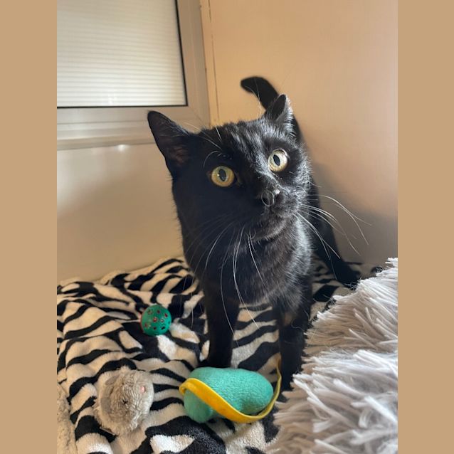 Photo of Ripley