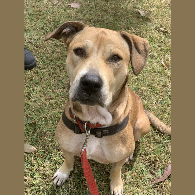 Photo of Ruby