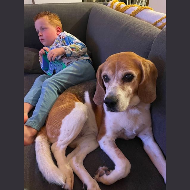 Photo of Jack And Harley 