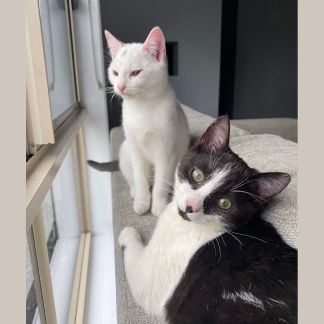 Photo of Kaali & Varlee 