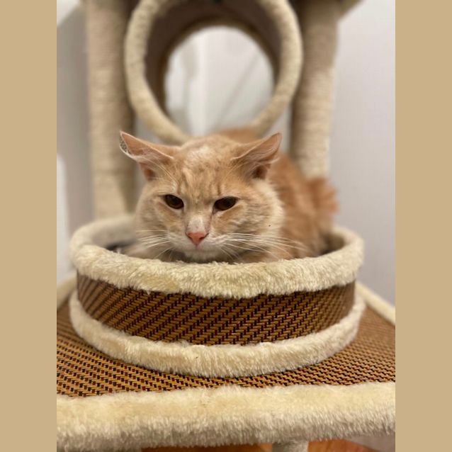 Photo of Ed  Meet Me At Petstock Chelsea Store