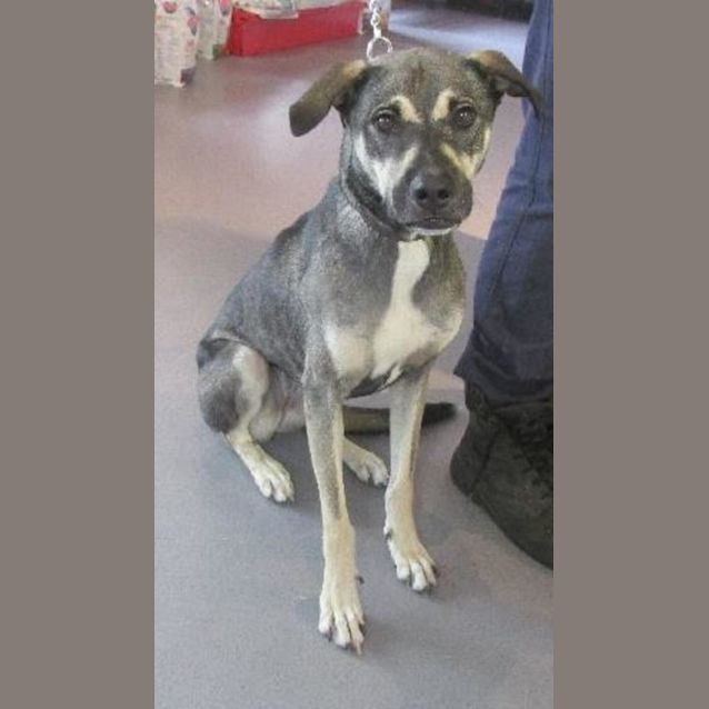 Photo of Bonnie