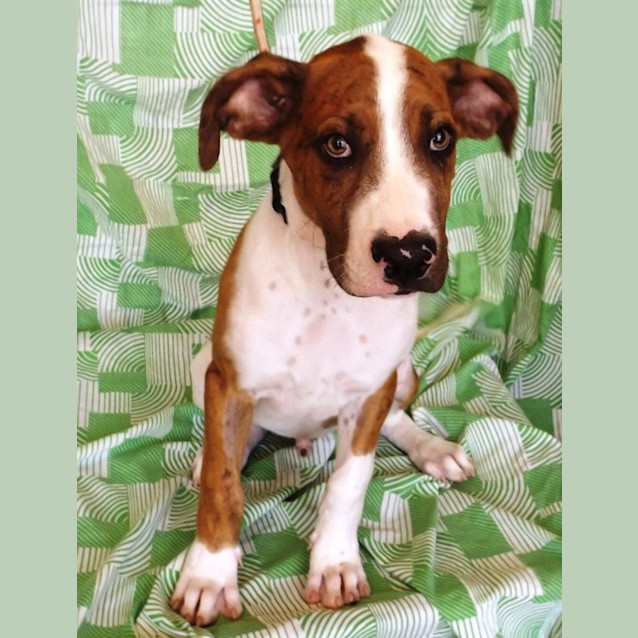 Photo of Zeus