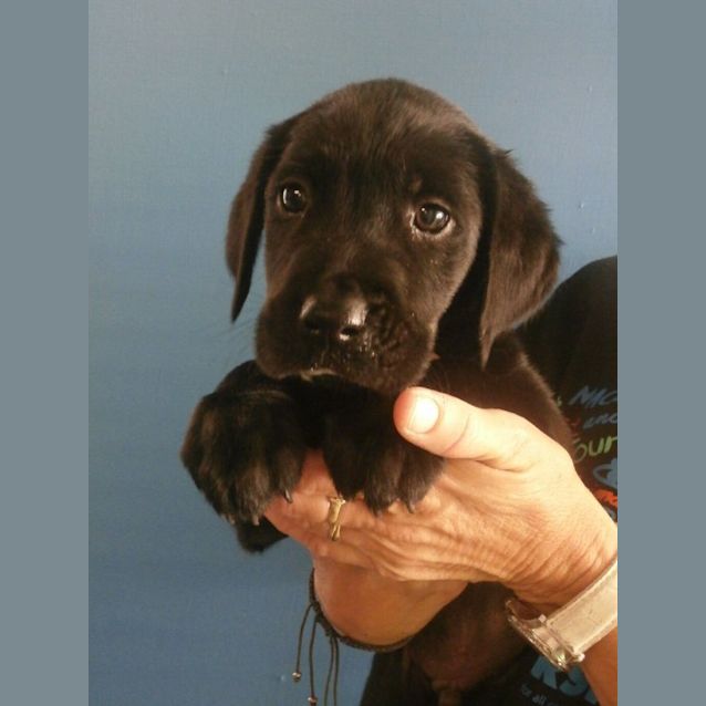 Photo of Jack