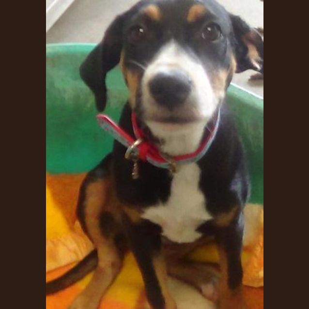 Photo of Holly