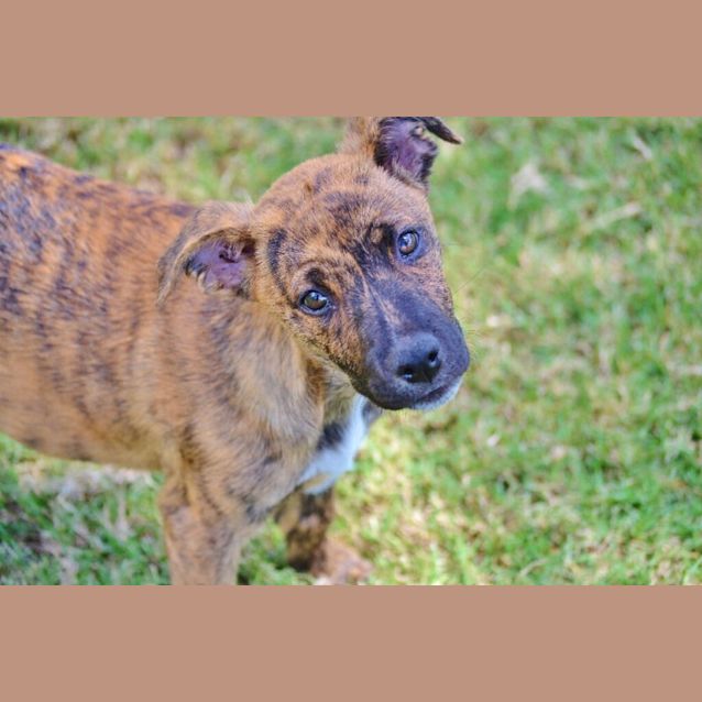 Photo of Jazz