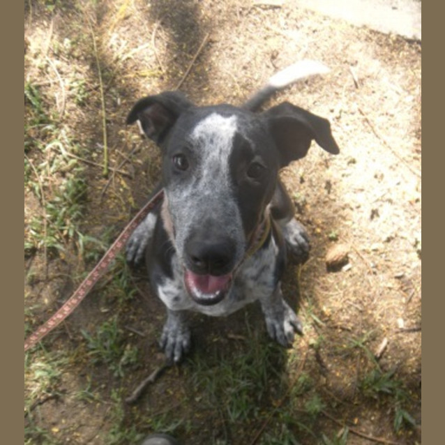 Photo of Molly