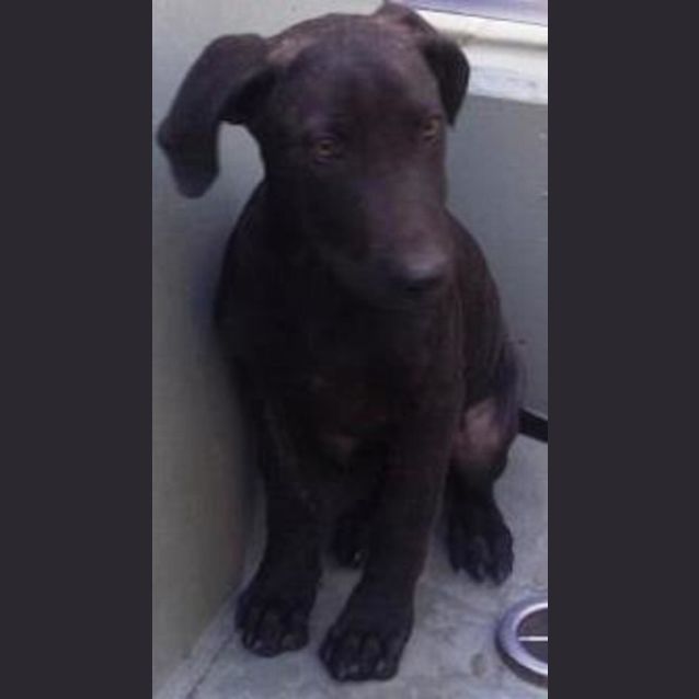 Photo of Jasper