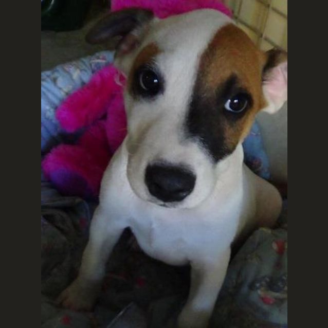 Photo of Floyd