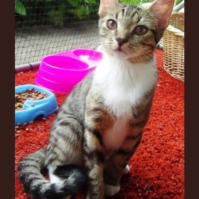Photo of Dottie