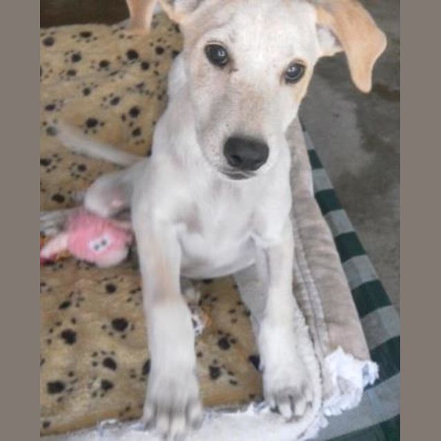 Photo of Jax