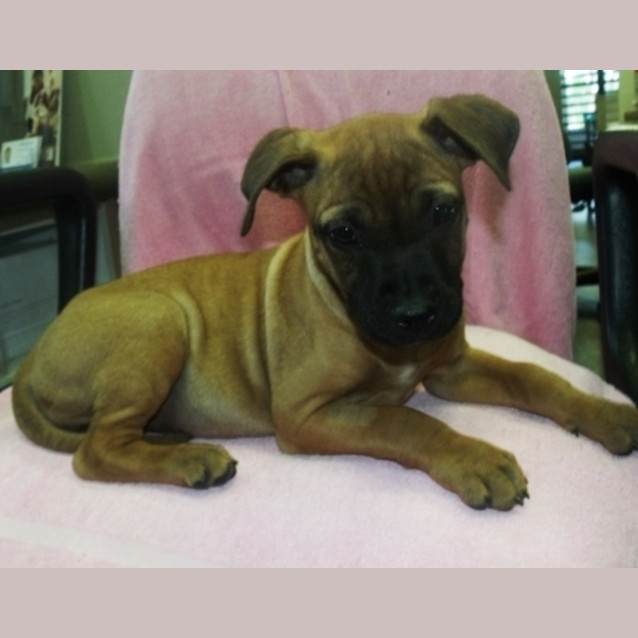 Photo of Maya