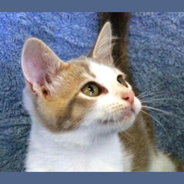 Photo of Axel