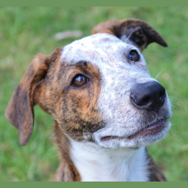 Photo of Sally