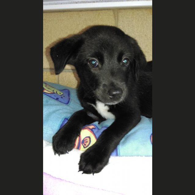 Photo of Jax