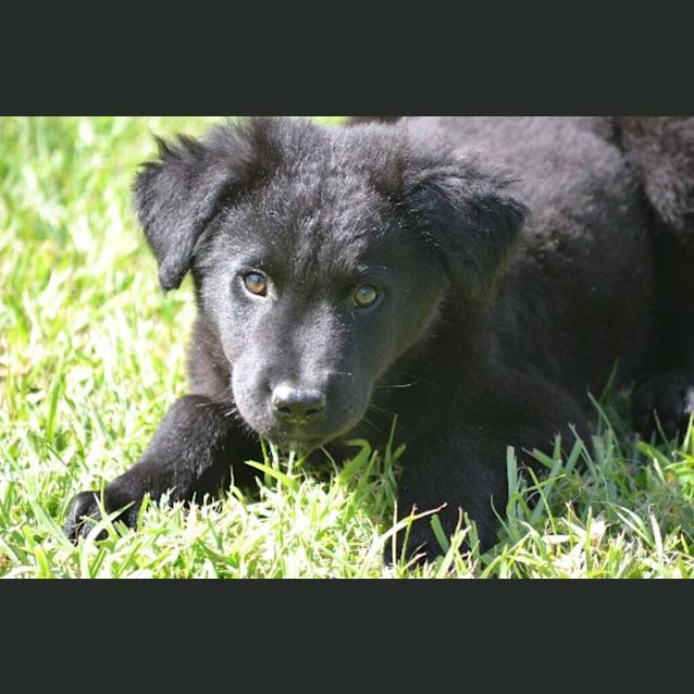 Photo of Max