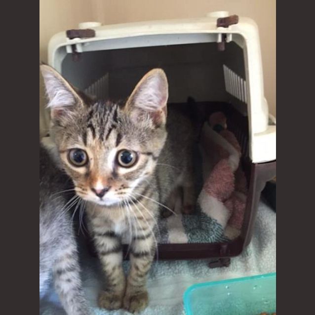 Photo of Spice