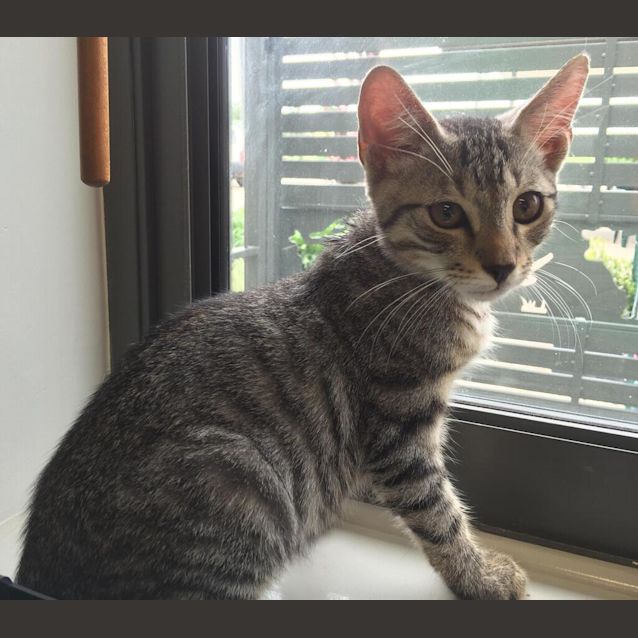 Photo of Arthur