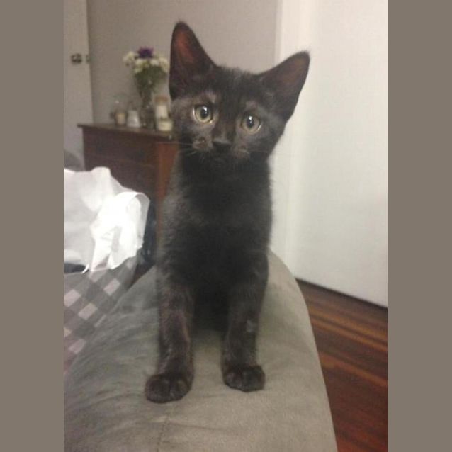 Photo of Azazel