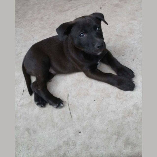 Photo of Isaac