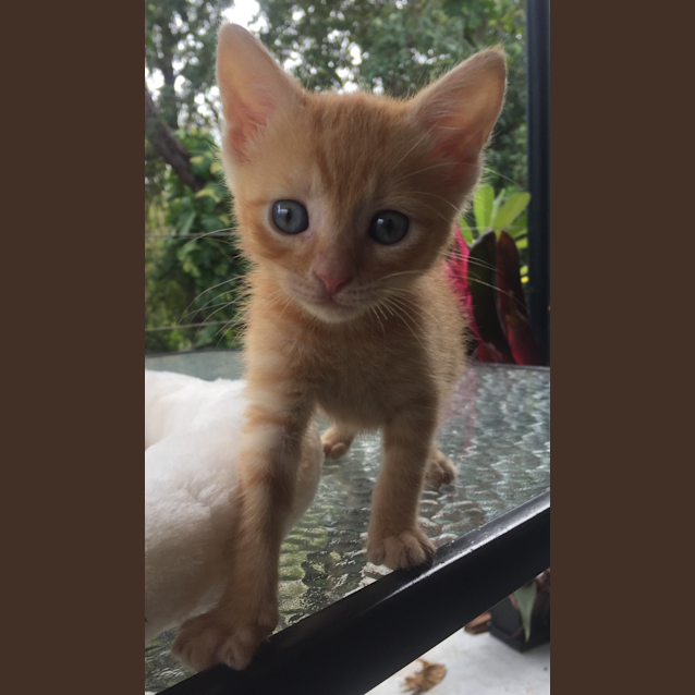 Photo of Jasper