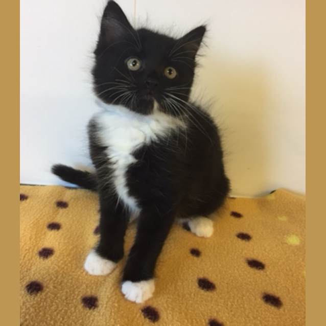 Photo of Sally
