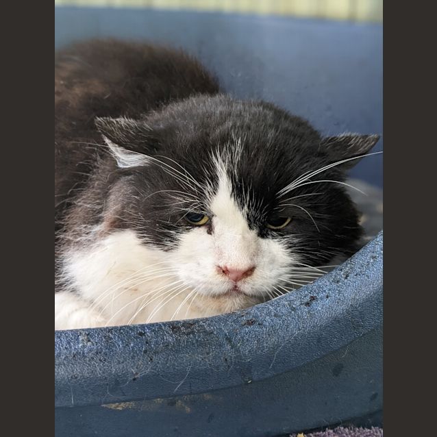 Photo of Uncle Fester