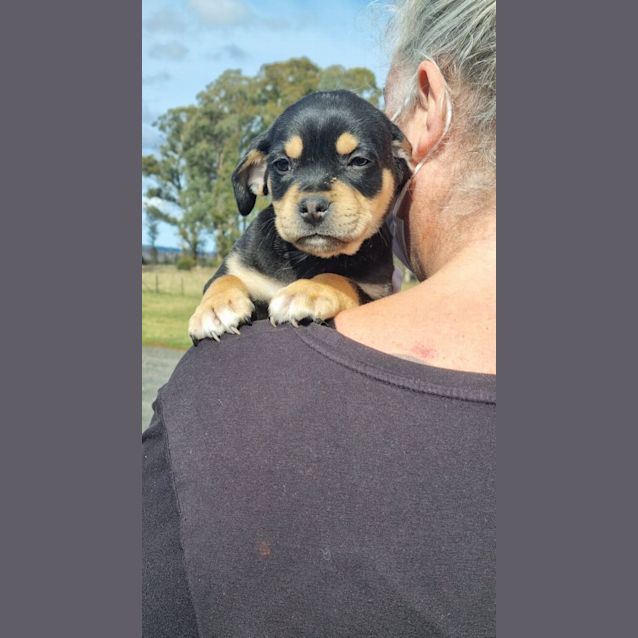 Photo of Gus
