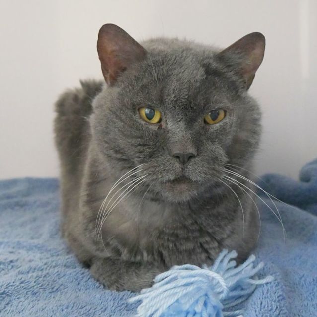 Photo of Foss Sta010227