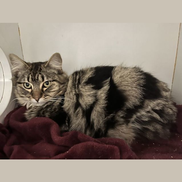 Photo of Leon And Teddy